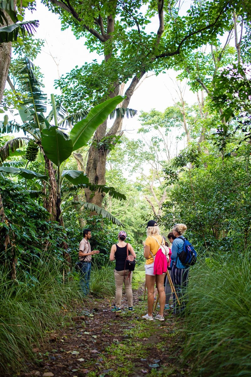 Top 3 Places To Stay While Traveling Through Costa Rica