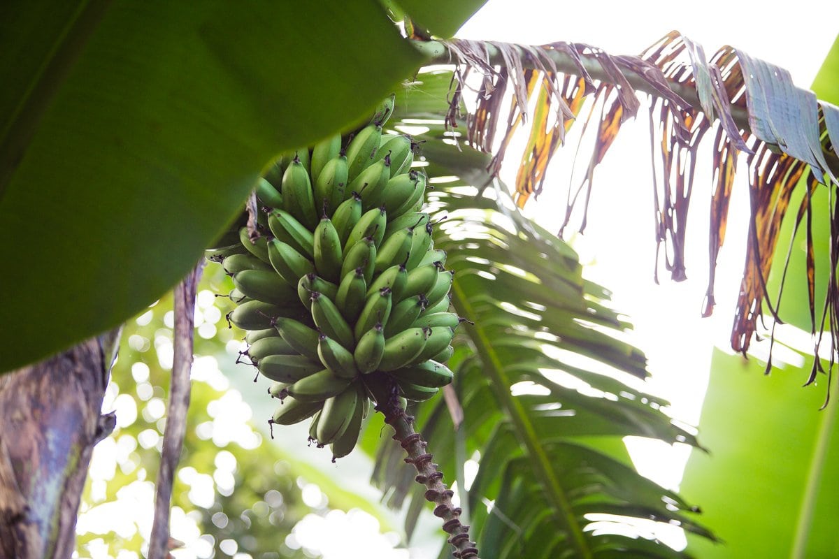 Top 3 Places To Stay While Traveling Through Costa Rica