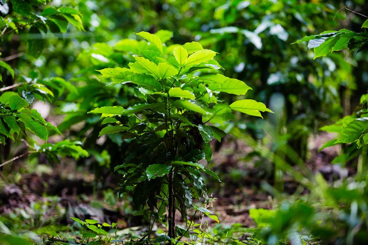 Top 3 Places To Stay While Traveling Through Costa Rica