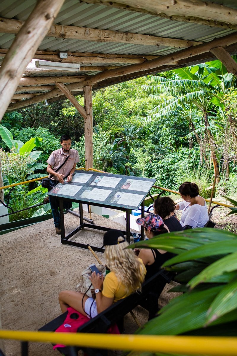 Top 3 Places To Stay While Traveling Through Costa Rica