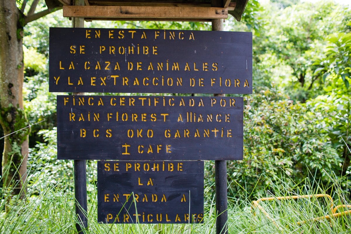 Top 3 Places To Stay While Traveling Through Costa Rica