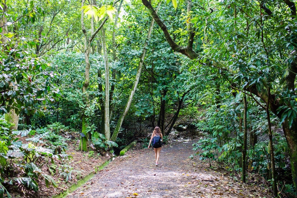 Top 3 Places To Stay While Traveling Through Costa Rica