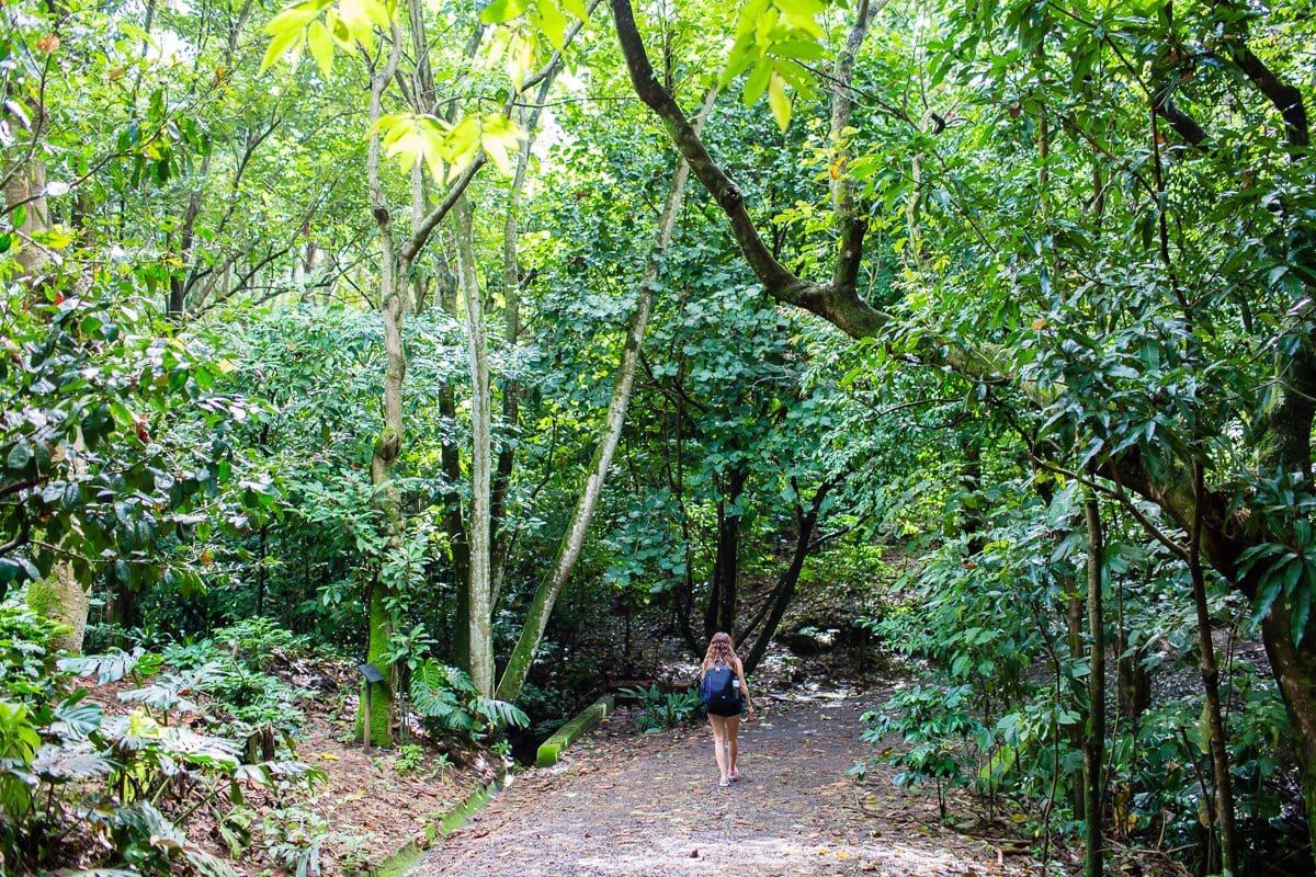 Top 3 Places To Stay While Traveling Through Costa Rica