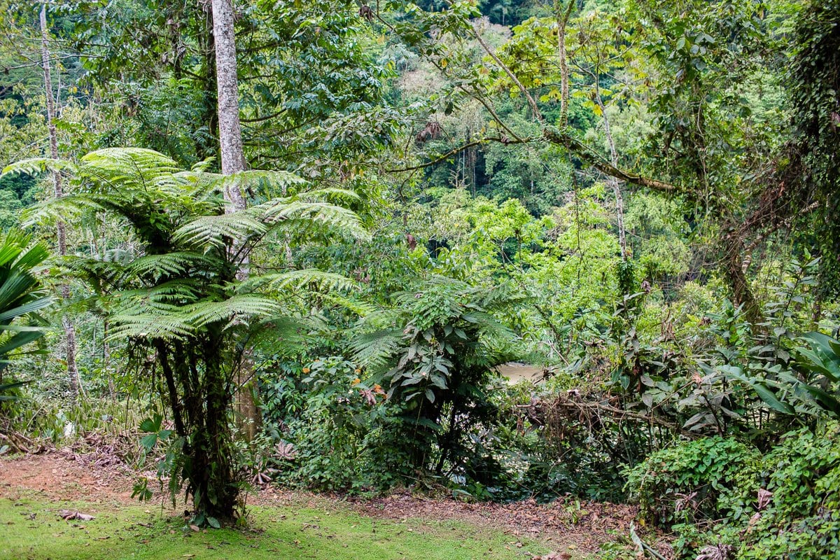 Top 3 Places To Stay While Traveling Through Costa Rica