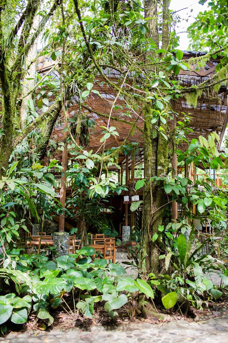 Top 3 Places To Stay While Traveling Through Costa Rica
