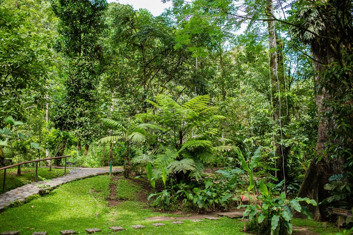 Top 3 Places To Stay While Traveling Through Costa Rica