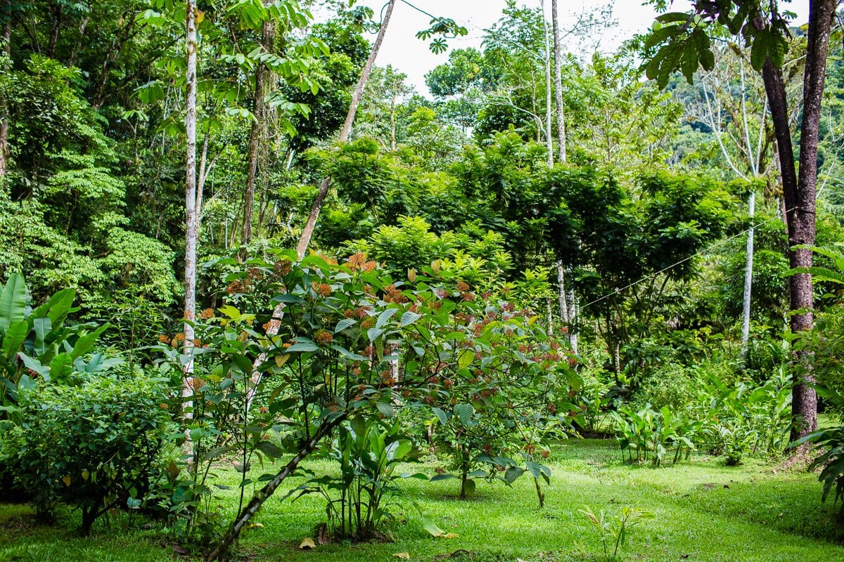 Top 3 Places To Stay While Traveling Through Costa Rica