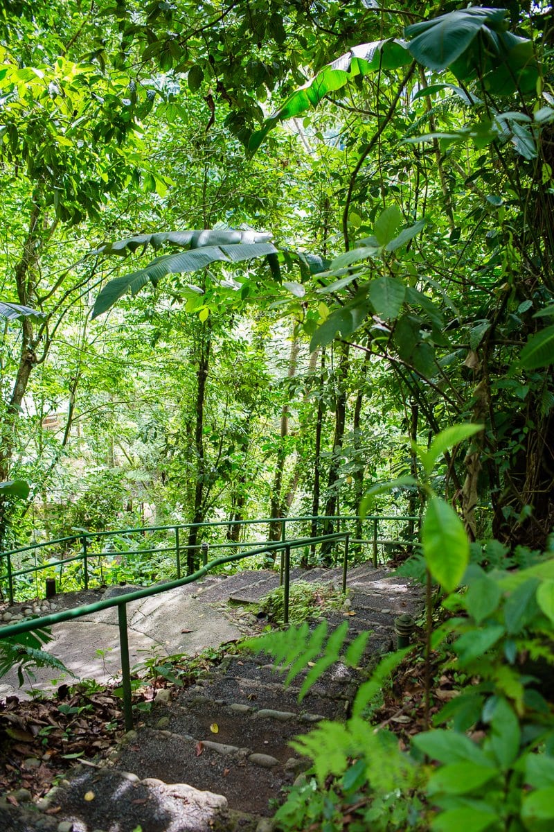 Top 3 Places To Stay While Traveling Through Costa Rica