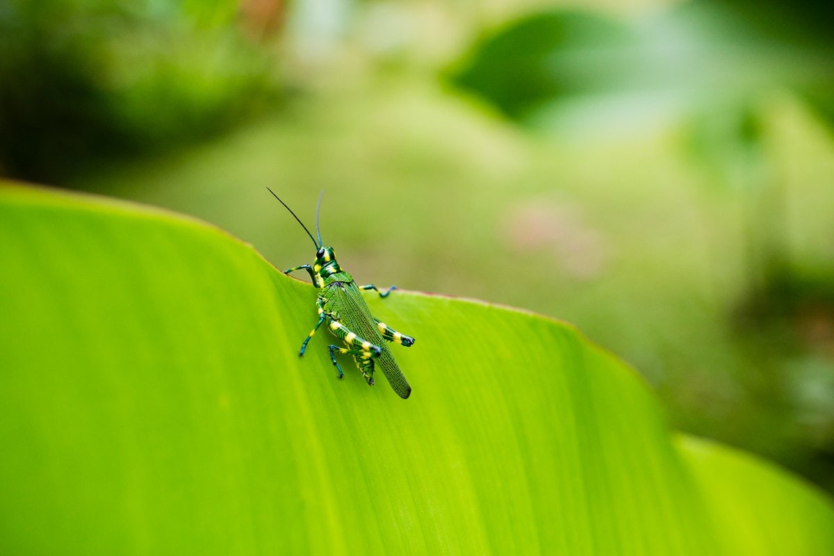 Top 3 Places To Stay While Traveling Through Costa Rica