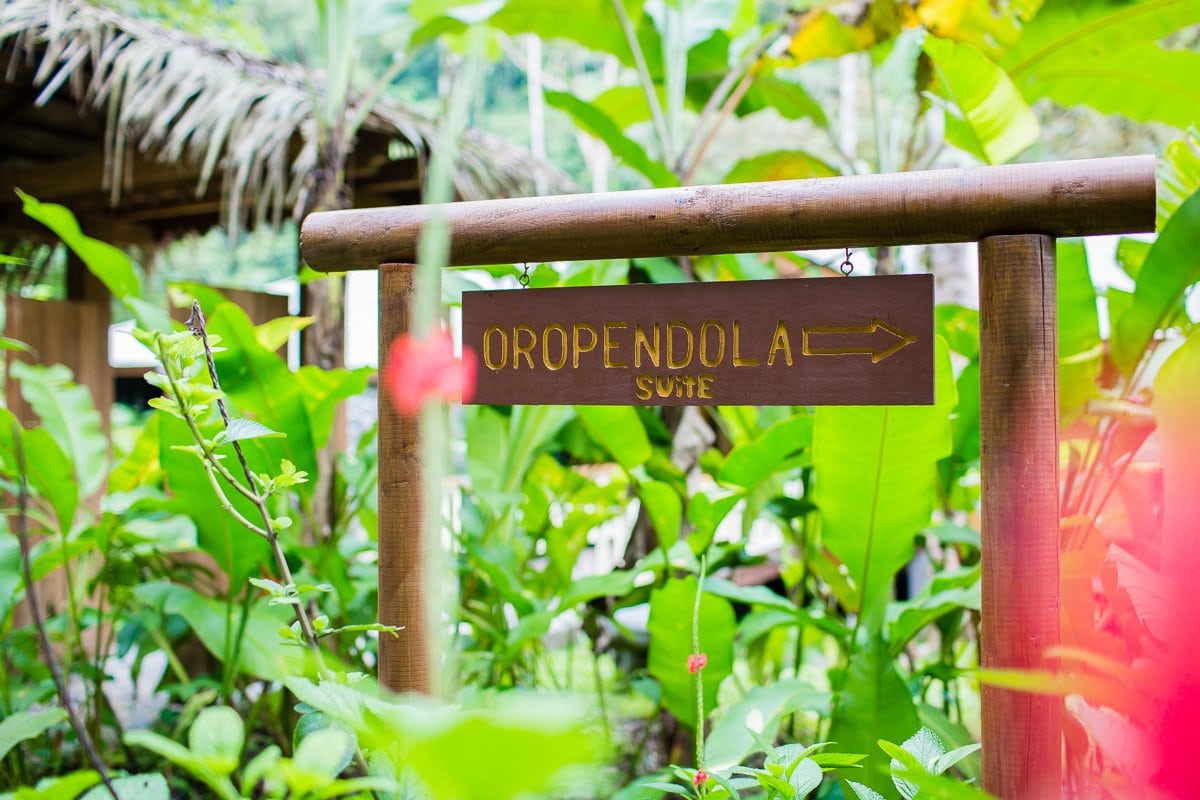 Top 3 Places To Stay While Traveling Through Costa Rica