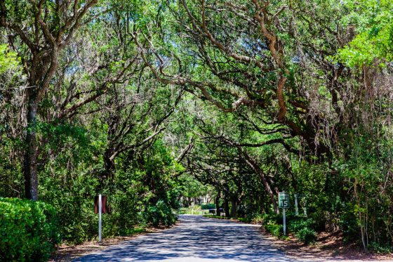 7 Hidden Gems Of Florida