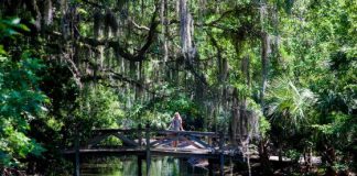 7 Hidden Gems of Florida 7 Hidden Gems Of Florida