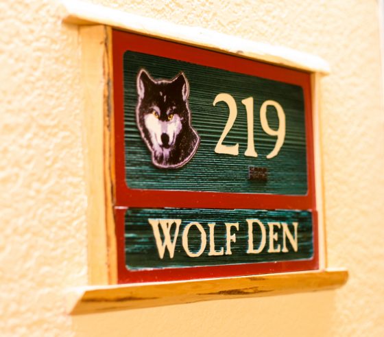 Tackling Great Wolf Lodge Kansas City Like A (mom)boss