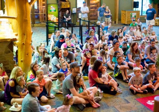Tackling Great Wolf Lodge Kansas City Like A (mom)boss