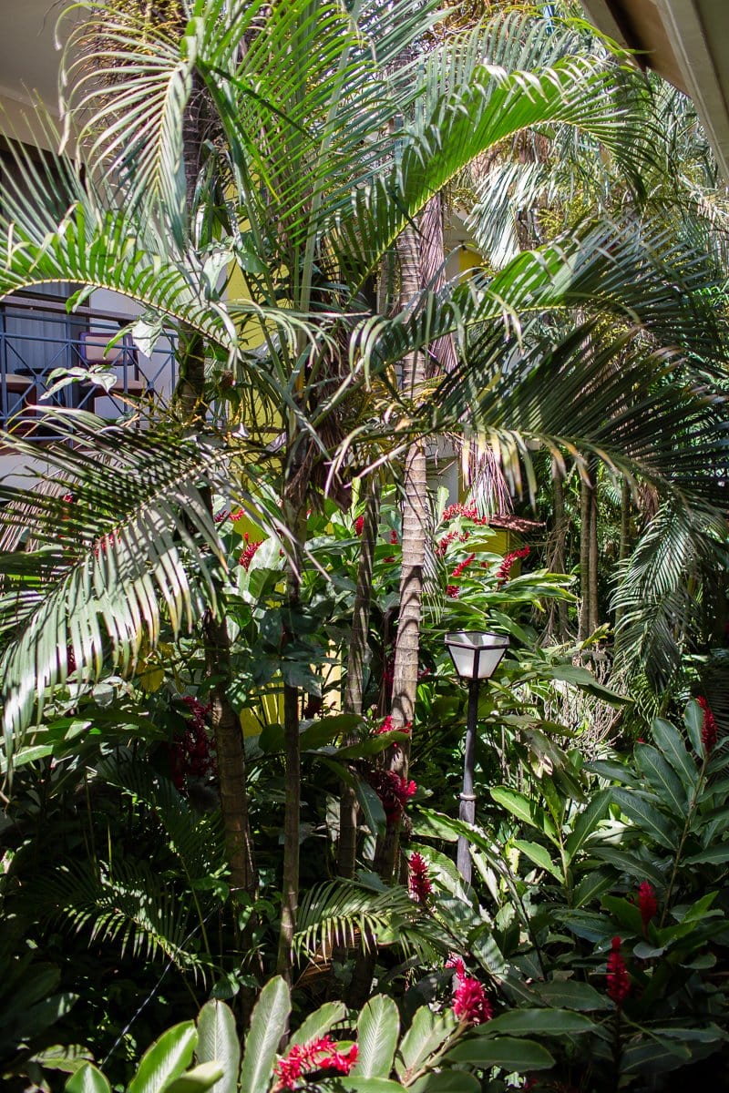 Top 3 Places To Stay While Traveling Through Costa Rica