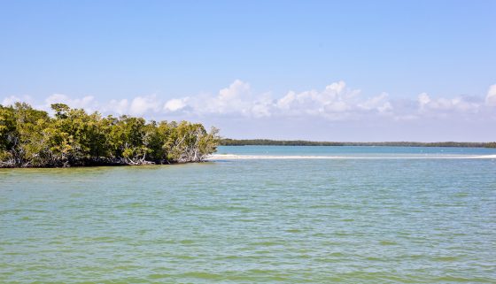 7 Hidden Gems Of Florida