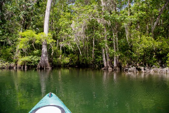 7 Hidden Gems Of Florida
