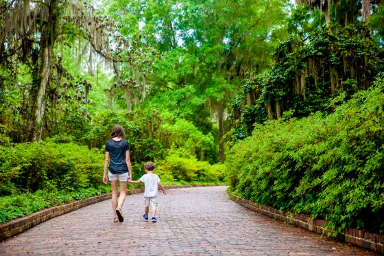7 Hidden Gems Of Florida