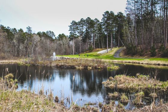 Northern Minnesota Gem-grand View Lodge
