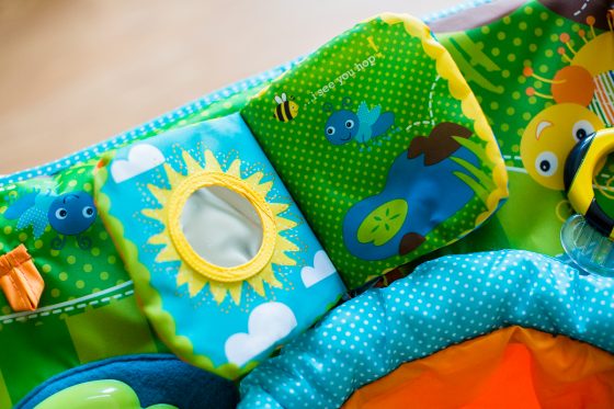 Tips For Traveling With A Lap Baby Tips For Traveling With A Lap Baby