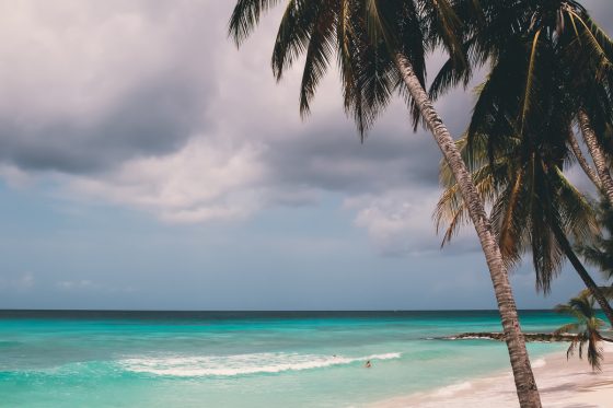 Get Fit In Luxury With Luxefit Get Fit In Luxury With Luxefit