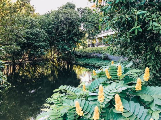 Hotel Marina: El Cid Spa And Beach Resort Hotel Marina: El Cid Spa And Beach Resort