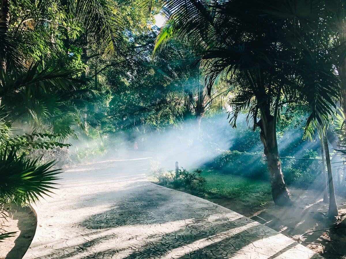 Hotel Marina: El Cid Spa And Beach Resort