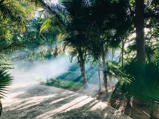 Hotel Marina: El Cid Spa And Beach Resort Hotel Marina: El Cid Spa And Beach Resort