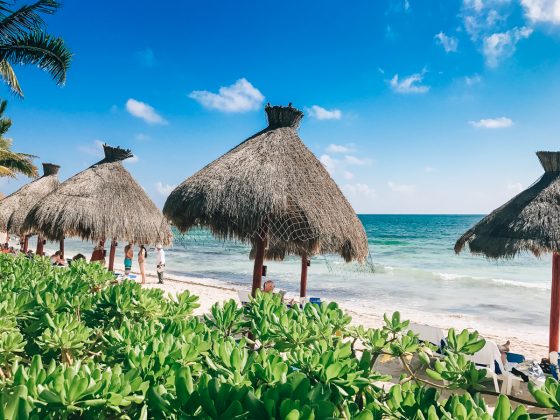 Hotel Marina: El Cid Spa And Beach Resort Hotel Marina: El Cid Spa And Beach Resort