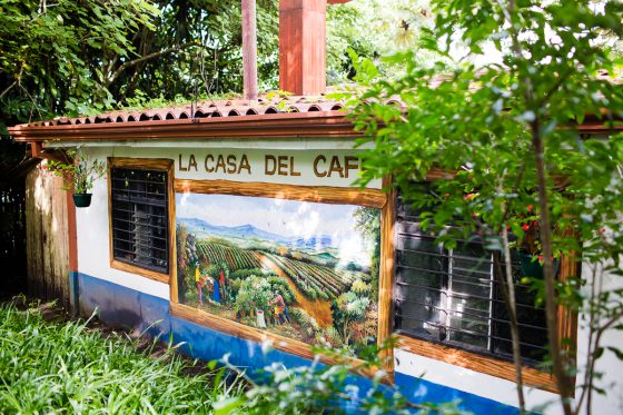 5 Best Eco-excursions To Experience While In Costa Rica