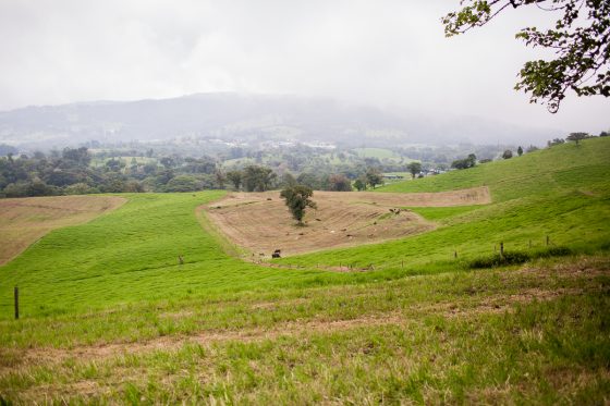 5 Best Eco-excursions To Experience While In Costa Rica