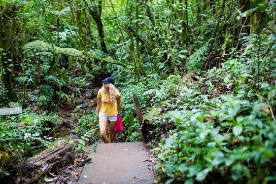 5 Best Eco-excursions To Experience While In Costa Rica