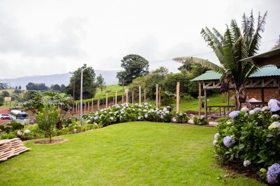 5 Best Eco-excursions To Experience While In Costa Rica