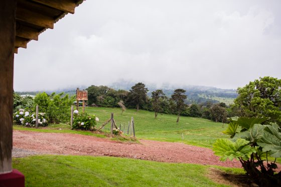 5 Best Eco-excursions To Experience While In Costa Rica