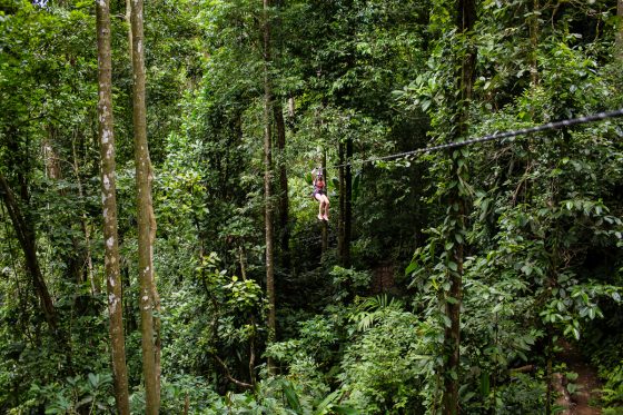 5 Best Eco-excursions To Experience While In Costa Rica