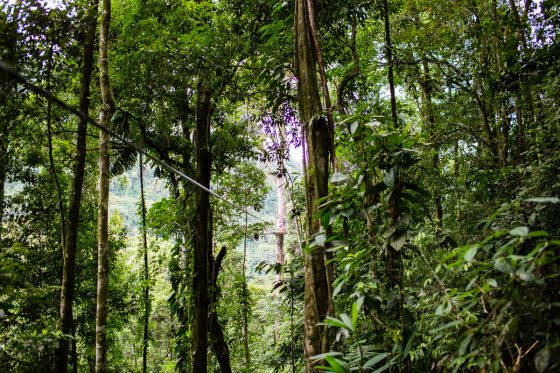 5 Best Eco-excursions To Experience While In Costa Rica