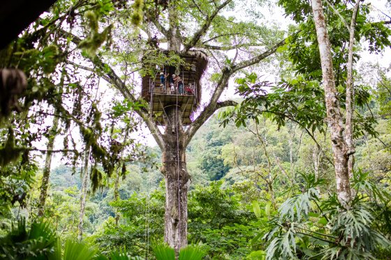 5 Best Eco-excursions To Experience While In Costa Rica