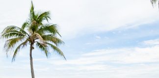 Pelican Grand Beach Resort: Fort Lauderdale Luxury Pelican Grand Beach Resort: Fort Lauderdale Luxury