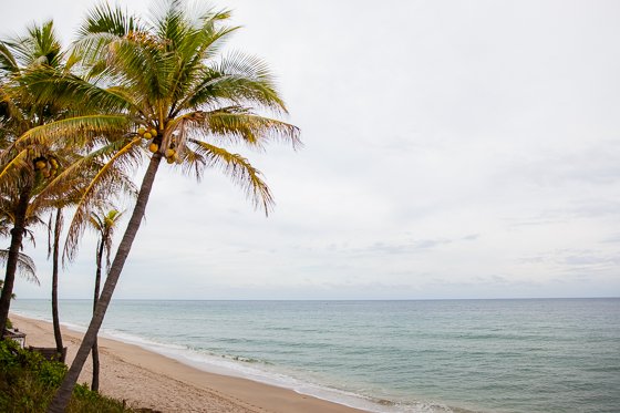 Pelican Grand Beach Resort: Fort Lauderdale Luxury