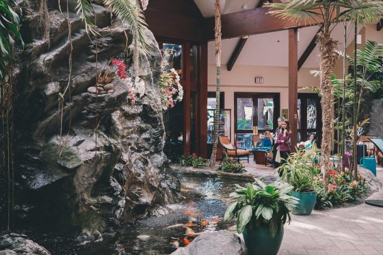 Child Centric Vacation Ideas In Southern California