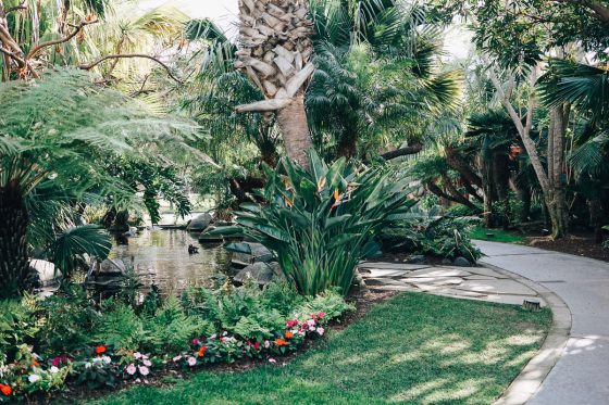 Child Centric Vacation Ideas In Southern California