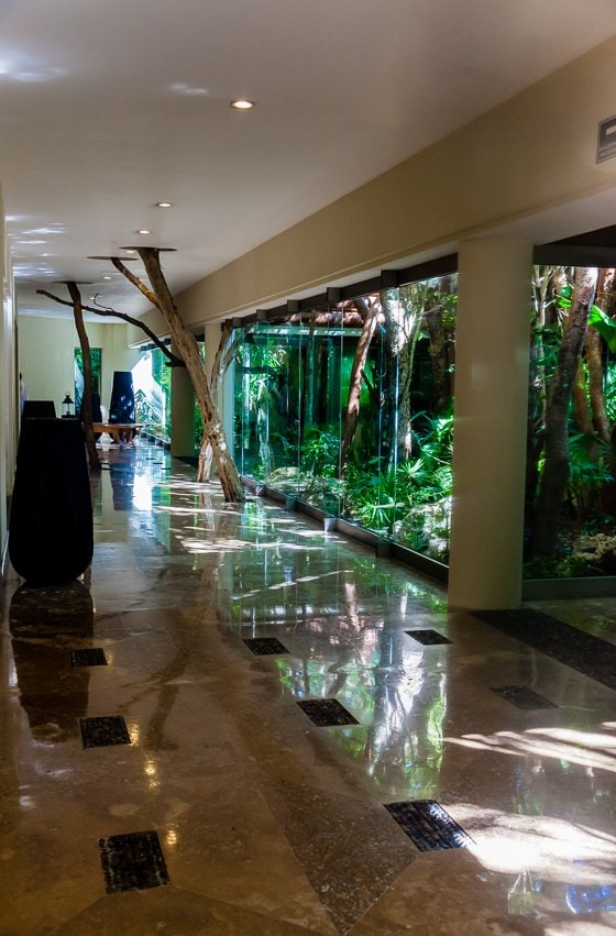 Grand Velas: One Resort, Endless Experiences