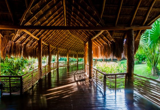 Grand Velas: One Resort, Endless Experiences