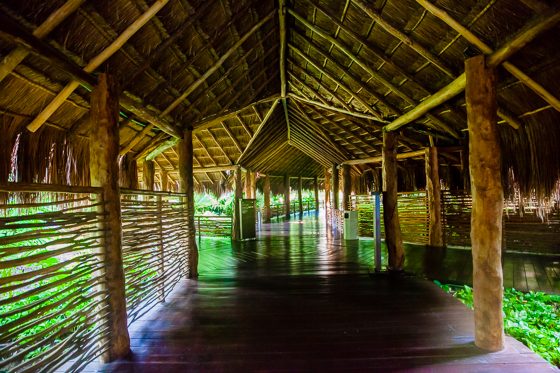 Grand Velas: One Resort, Endless Experiences