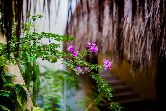 Grand Velas: One Resort, Endless Experiences