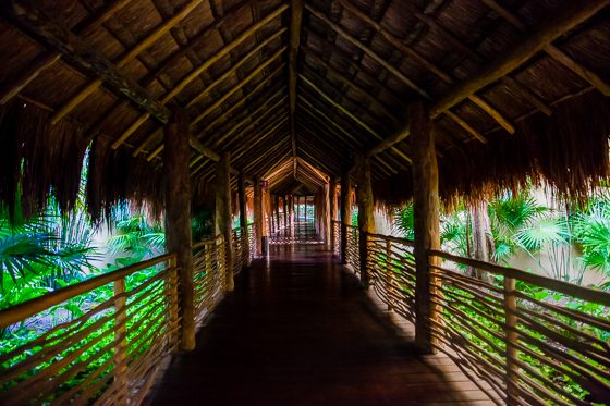 Grand Velas: One Resort, Endless Experiences
