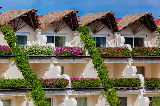 Grand Velas: One Resort, Endless Experiences