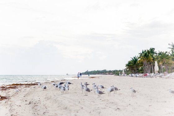 Grand Velas: One Resort, Endless Experiences