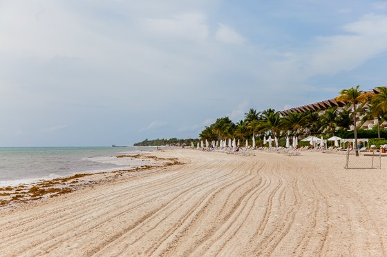 Grand Velas: One Resort, Endless Experiences