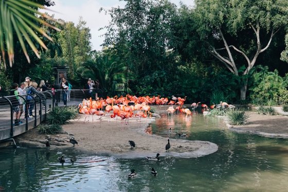 Child Centric Vacation Ideas In Southern California